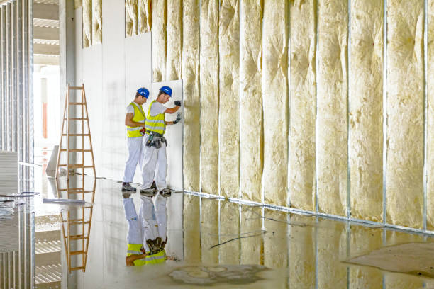 Eco-Friendly or Green Insulation Solutions in Santa Barbara, CA